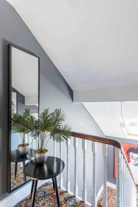 Gorgeous Homestay Belfast Ngoại thất bức ảnh